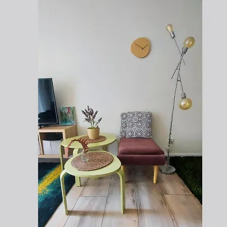 Wisla View Apartment *